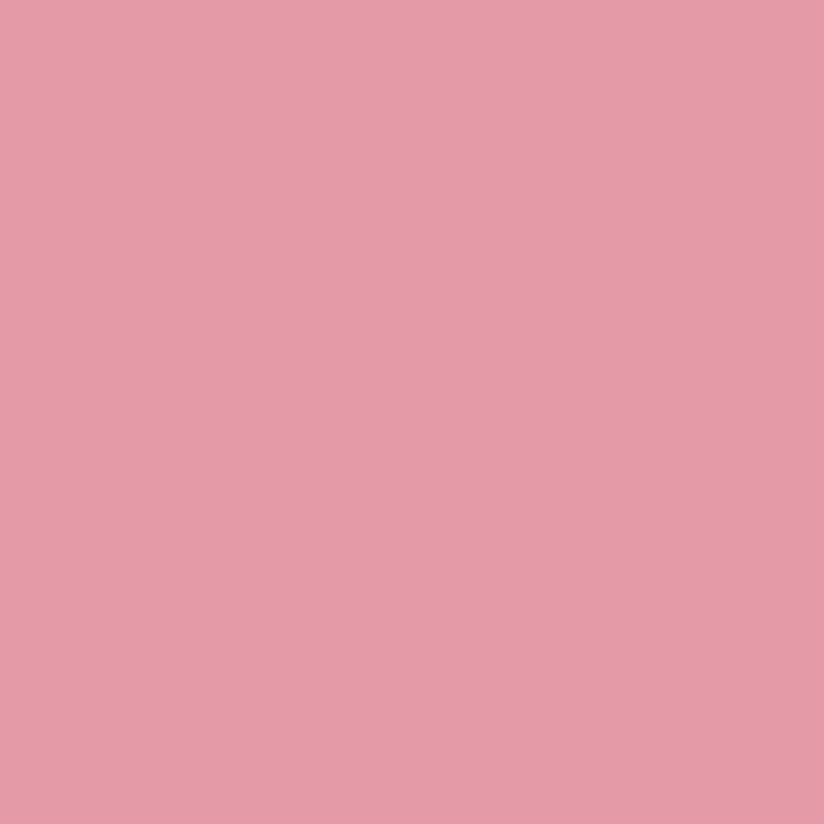 Pink Ribbon 1340